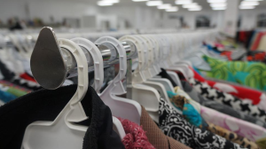Drive Home With Bargains: 5 Great Thrift Stores for Bargain Hunting in Sterling, VA