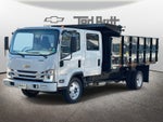 2025 Chevrolet Low Cab Forward 5500 XG Base